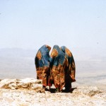 My most favorite picture in Yemen - three women. 