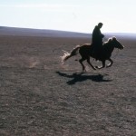 The most favorite horsemen - in Mongolia. 