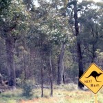 The most unusual road sign, in Australia.