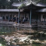 The Summer Palace