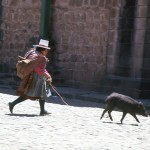 Taking a pig for a walk in Cuzco, Peru. 