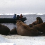 This rubber zodiac took us to many Arctic islands.
